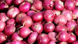 IMG_20251208_124233_770