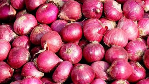 IMG_20251208_124233_770